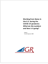 Working from Home in the U.S. during the COVID-19 pandemic: What are the numbers and how is it going? preview image