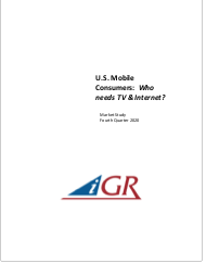 U.S. Mobile Consumers: Who needs TV & Internet? preview image