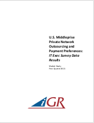 U.S. Middleprise Private Network Outsourcing and Payment Preferences: IT Exec Survey Data Results preview image