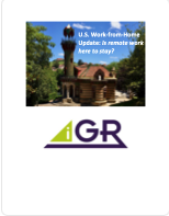 U.S. Work from Home Update: Is remote work here to stay?  preview image